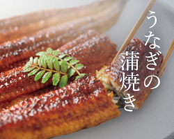 うなぎの蒲焼き