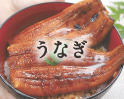 うなぎ