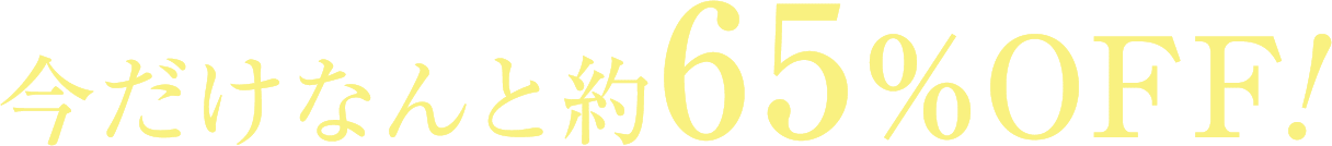 今だけなんと約65%OFF！